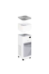 Oczyszczacz powietrza Webber AP9650