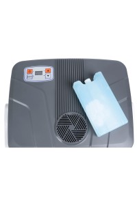Lodówka turystyczna przenośna samochodowa 29L 220-240V DC12V funkcja grzania wkład gratis grafitowa